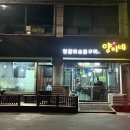 양이양이 이미지