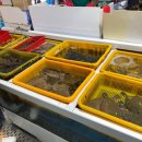 사천상회 이미지