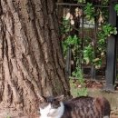 청호인재개발원 이미지