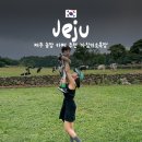구일농장 | 제주 아침미소목장,아기랑 오름 대신 즐기는 무료 농장과 카페
