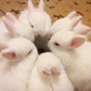 동양섬유 이미지