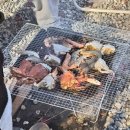 밤별2 캠핑장 | 충청북도-충주시/양성면) 밤별캠핑장 사이트 H 2