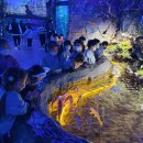 아쿠아플라넷에 다녀왔어요🩵🐳 2편 이미지