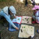 옥화자연휴양림 이미지