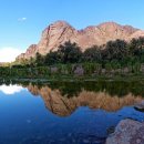 오아시스엘림 이미지