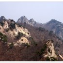 남대천식육점 이미지
