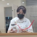 단정하개 이미지