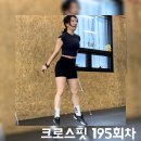 상소업 | 크로스핏 유상소성 와드 후기 : run, v-up, pull up, air squat