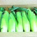 샬롬원농원