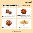 견과 하루 이미지