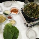 꾸이꾸이 이미지