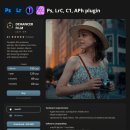 필름 사진 보정 플러그인 디핸서 (라이트룸/포토샵) 사용 후기