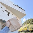 GR(부산광역시 기장군)-[기장해안로]-상-45 | 부산 기장 오션뷰 카페 ‘코랄라니’ | 바다와 디저트의 완성