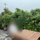 선현재