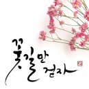 와이에스365
