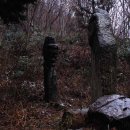주장군 Daum카페