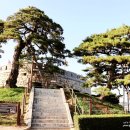 보루(BOROO) 안산초지점 | 강화도여행 역사의 흔적이 살아 숨쉬는곳 초지진