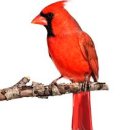 공설운동장(북편) 이미지