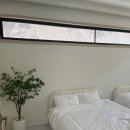GS25당진정미