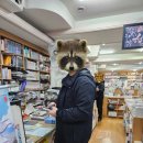 홍명서적 이미지