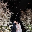 그림자의 그림자(홀 | 잠실 더컨벤션 아모르홀 본식 후기 어두운홀 본식스냅 맛집 포에브
