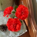 애월마당 이미지