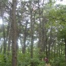 구름산산림욕장 이미지