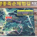 맹종죽순체험길 이미지