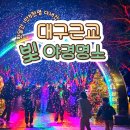 대가야광장 | 한달간 1만5천명 다녀간 대구근교 야경명소? - 대가야빛의숲