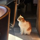 두원시장 | 2박 3일 부산 여행 기록