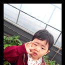 무내미농장 이미지