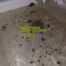 서천2길 이미지