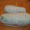 샘밭 농장 이미지