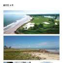 TOP골프스쿨 이미지