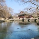 낭만고등어식당 이미지