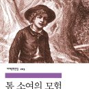 톰소여의 모험 이미지