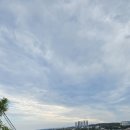 동백꽃필무렵 | 여행 일본인가옥거리 포항여행 필수코스 구룡포 일본인가옥거리 동백꽃 필무렵 촬영지 후기 (주차 및 안내)