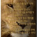 최강공인중개사사무소 이미지