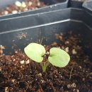 빛으로부터..(fr 이미지