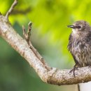 WITHUSVILL 이미지