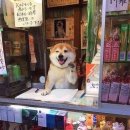 24시모현동열쇠 네이버블로그