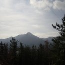 형재목장 이미지