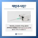 연세퍼스트이비인후과의원 네이버블로그