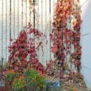 산 당구장 이미지