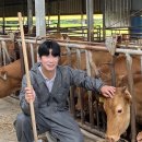 청년축산 이미지
