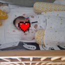 로앙쥬베베 이미지