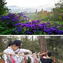 극복 농장 이미지