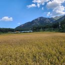 압해공인중개사사무소 이미지