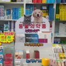 소하백화점약국 이미지