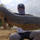 만식이네 이미지